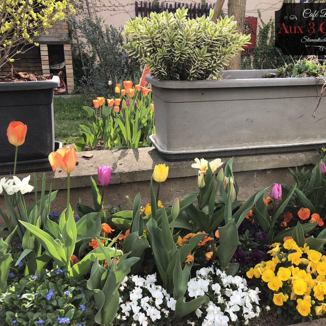 brasserie-restaurant-colmar-aux3couleurs-026