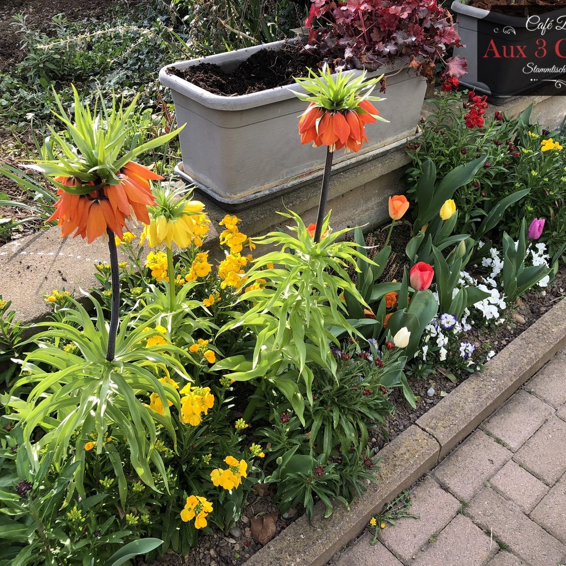 brasserie-restaurant-colmar-aux3couleurs-027